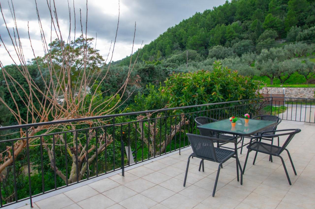 Family Private Homes & Sea View Lithakia  Exterior foto