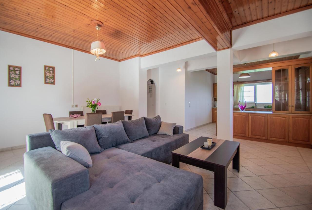 Family Private Homes & Sea View Lithakia  Exterior foto